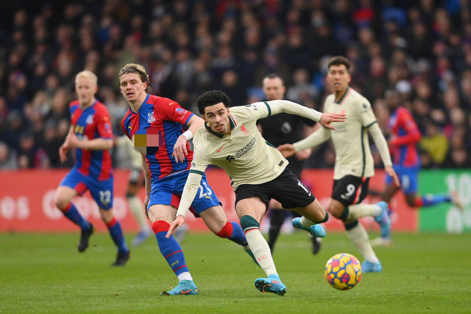 迷關注的焦 迷關注的焦